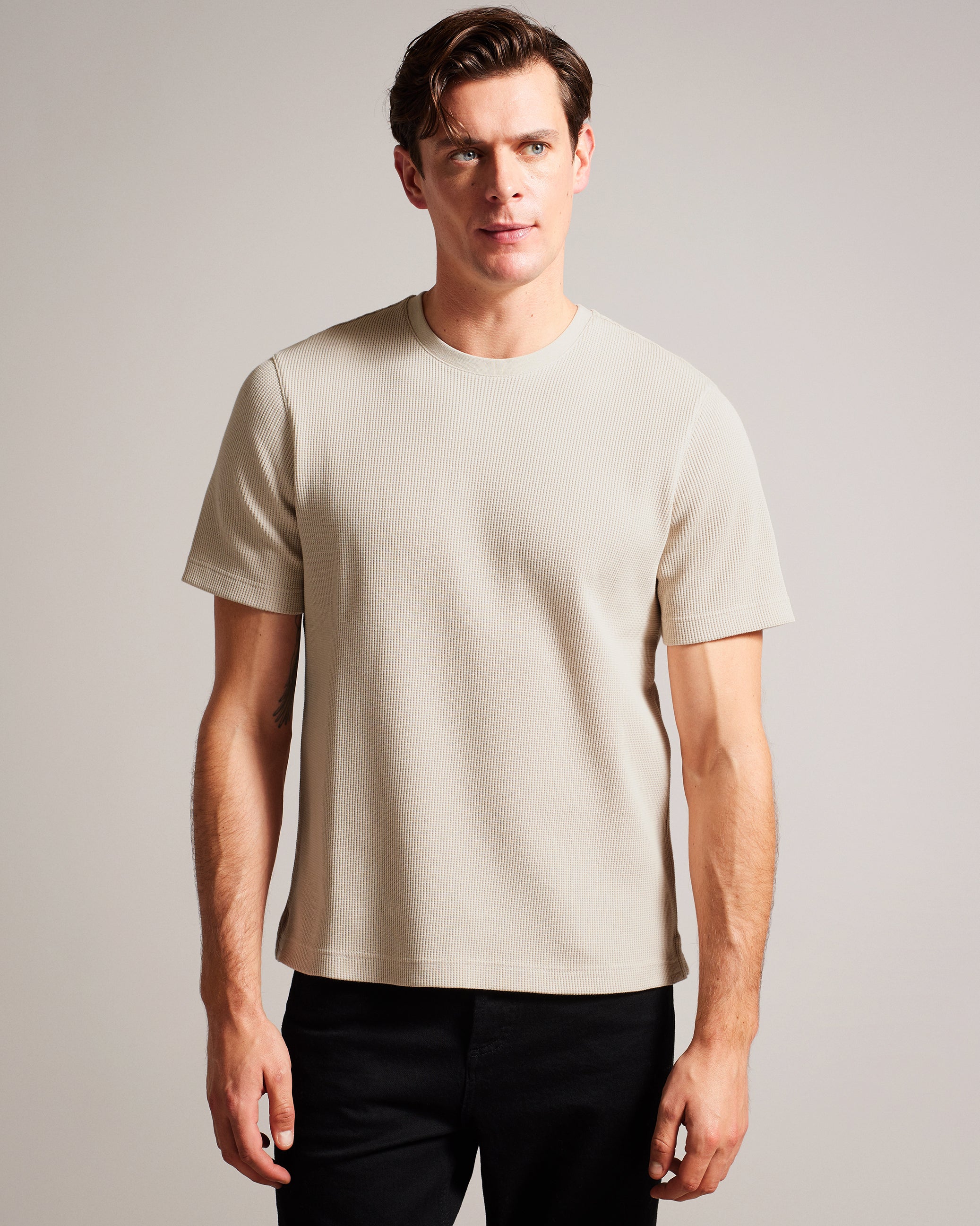 Frute Short Sleeve Regular Textured T-Shirt Stone