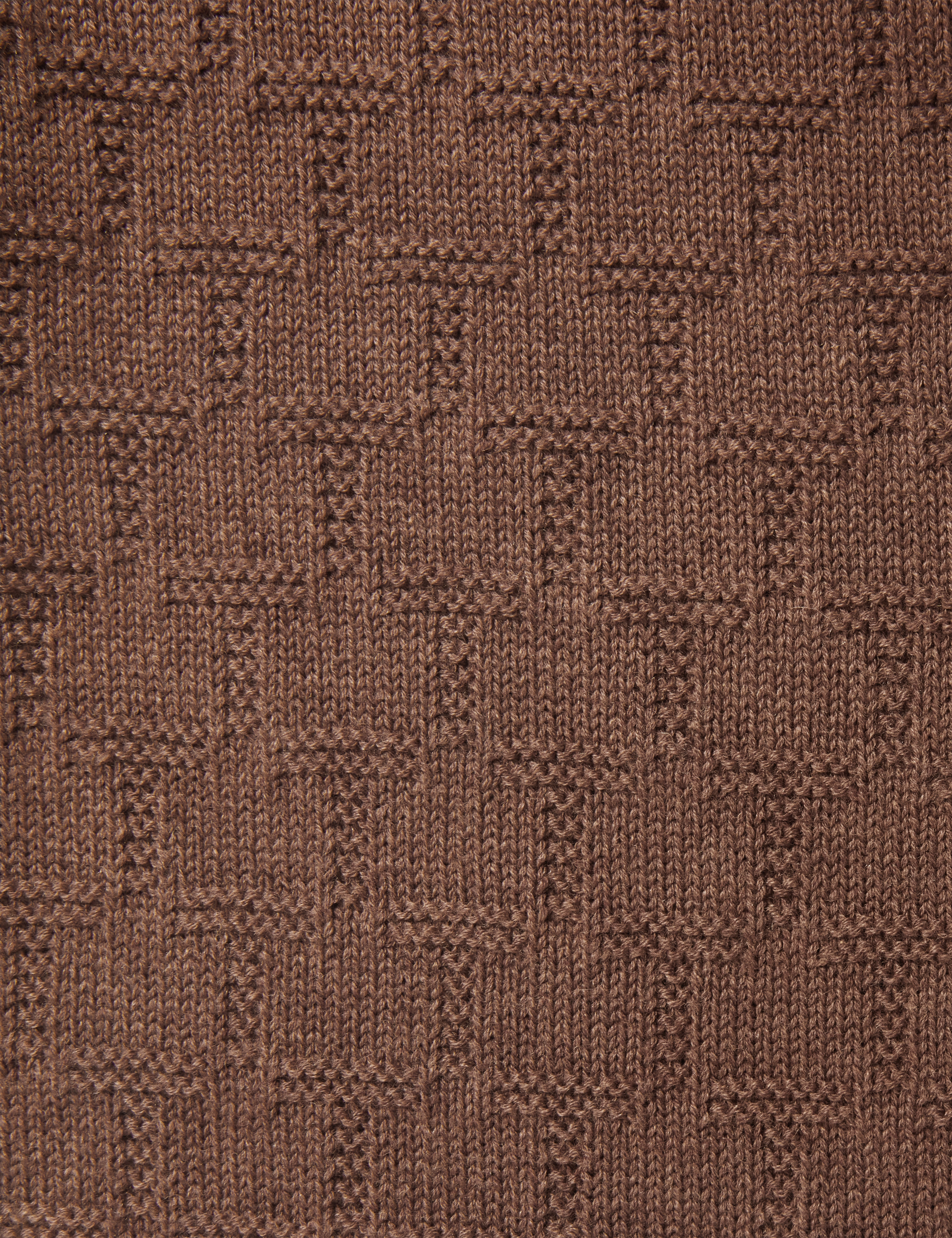 Terni T Repeat Knit Scarf Brown